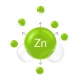 Cynkomit MSE 15 mg Chelat Cynku Kontrola Poziomu Cynku w Organizmie Dr Enzmann (60 kaps) Mito-Pharma