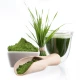 Nr 1 Chlorophyll Detox Chlorofil + Spirulina + Lucuma + Chlorella (500 ml) Lab One
