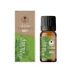 Olejek Eteryczny z Drzewa Herbacianego 100% 10 ml Dary Natury