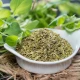 Olejek z Oregano Karwakrol 180 mg Wsparcie Wątroby Trawienia i Odporności (120 kaps) Osavi