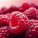 FRUIT SHOT Żel pod Prysznic z Ekstraktem z Malin i Granatu 500 ml Apis