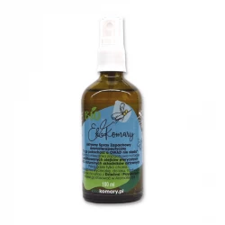 EkoKomary Aktywny Spray Na Komary Meszki i Kleszcze Ekologiczny Naturalny 100 ml LV Organic
