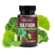 SULFOGIN Sulforafan + Ginkgo Biloba Wsparcie Oksydacyjne Organizmu VEGE (60 kaps) Skoczylas