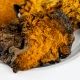 COFFEE & FUNGI Kawa Arabica Mielona + Chaga Ekstrakty z grzybów BIO VEGE 252 g BeOrganic