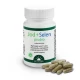 Jod + Selen Probio B12 Probiotyk VEGE (90 kaps) Dr. Jacob's