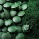 Chlorella Pyrenoidosa 300 g (1200 tabletek po 250 mg) BOF