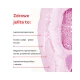 Colostrum Bovinum Junior Bioaktywny Liofilizat 2h 800 mg z Czarnym Bzem Wsparcie Odporności (30 saszetek) Genactiv