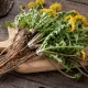 Mniszek Lekarski Liść EKO 80 g Herbatka Ziołowa EcoBlik