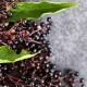 Czarny Bez (Sambucus Nigra) 520 mg Odporność (60 kaps) Medica Herbs