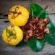 Garcinia cambogia