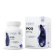 PQQ Pirolochinolinochinon 20 mg (30 kaps) Osavi Advanced