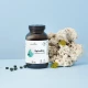 Spirulina Maxima Sprasowana Alga Morska (600 tab / 150 g) Aura Herbals