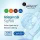Kolagen Rybi PLUS 5000 mg (Typ I i III) OptiMSM Siarka + Witamina C Proszek 157,5 g Aliness