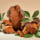 BICAPS CHAGA 320 mg Beta Glukanu (60 kaps) ForMeds