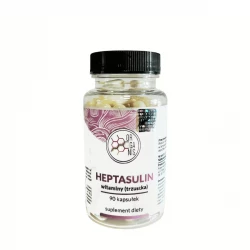 Heptasulin Trzustka Witaminy (90 kaps) Organis