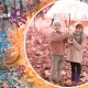 Immunik Odporność 9 Ziół 100 ml EkoToTu