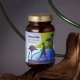 ShroomMe Men Lion's Mane & Chaga (90 porcji) Health Labs Care