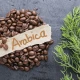 Kawa Mielona Caffe Moka 100% Arabica  BIO 250 g Alce Nero