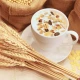 Kawa Zbożowa Rozpuszczalna 100% Orzo Solubile BIO 125 g Alce Nero
