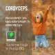 Cordyceps BIO Ekstrakt Standaryzowany 500 mg (50 kaps) BeOrganic
