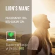 Lion's Mane Soplówka Jeżowata BIO 500 mg (50 kaps) BeOrganic
