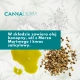 Capillus Seborea Szampon do Włosów na Problemy Łojotokowe 150 ml Cannaderm
