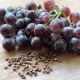 Resweratrol Resveratrol 95% OPC z Pestek Winogron (60 kaps) VEGE Aura Herbals