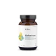 Colostrum 500 mg Siara Bydlęca 30% Immunoglobulin G Kwaśna Cytryna Proszek 66 g Aura Herbals
