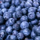 Białko Serwatkowe WPC 80 o Smaku Jagodowym Proszek 345 g BeOrganic