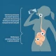 Techologia Liposomanlna