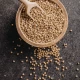 Naturalna Witamina B-Complex 100% (30 kaps) Nasiona Gryki Singularis