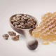 Propolis Forte XL Ekstrakt 10% Bez Alkoholu w Płynie 100 ml MyVita
