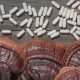 Grzyby Reishi Ekstrakt Standaryzowany 30% Polisacharydy (90 kaps) Hepatica
