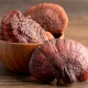Kakao z Grzybami 7w1 Reishi Chaga Shiitake Maitake Lion's Mane Kordyceps Tremella o Smaku Czekoladowym Mycodrop Aura Herbals
