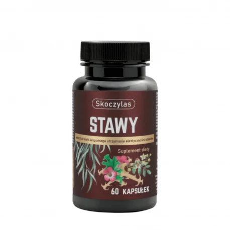 STAWY Utrzymanie  Elastyczności Stawów (60 kaps) Skoczylas