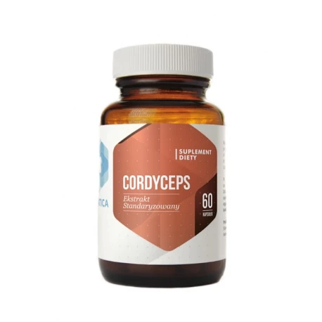 Cordyceps Kordyceps Ekstrakt Standaryzowany 30% (60 kaps) Hepatica