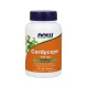 Cordyceps Kordyceps 750 mg (90kaps) Now Foods