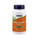 Andrographis 400 mg Ekstrakt (90 kaps) Now Foods