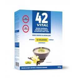 42 VITAL Niskokaloryczna Dieta Roślinna Smak Waniliowy 510 g Aliness