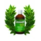 Laurosept Q73 Olejek Laurowy + Olejek Kurkumowy 100 ml Asepta