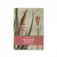 Książka Raka można wyleczyć. Siła lecznicza aloe arborescens. O. Romano Zago OFM