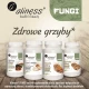Siberian Chaga FUNGI Ekstrakt 400 mg Zdrowe Grzyby (90 kaps) VEGE Aliness