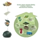 Worki na Odpady Organiczne i Zmieszane w 100% Biodegradowalne i Kompostowalne 10l Rolka 20 szt BioBag