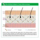 Zestaw ProSkin Elastin Complex + Hialuron Complex Trio dla pięknej skóry (2x60 kaps) Aliness