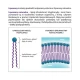 Liposomalna Witamina C 1000 Buforowana 250 ml Liposol