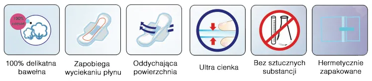 specyfikacja