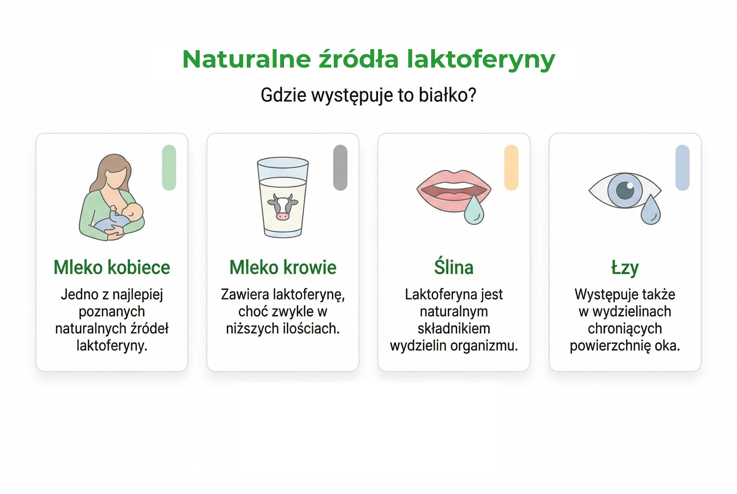 laktoferyna