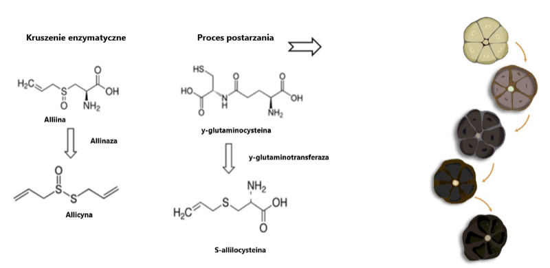 Reakcje chemiczne