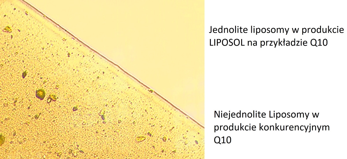 Porównanie liposoli