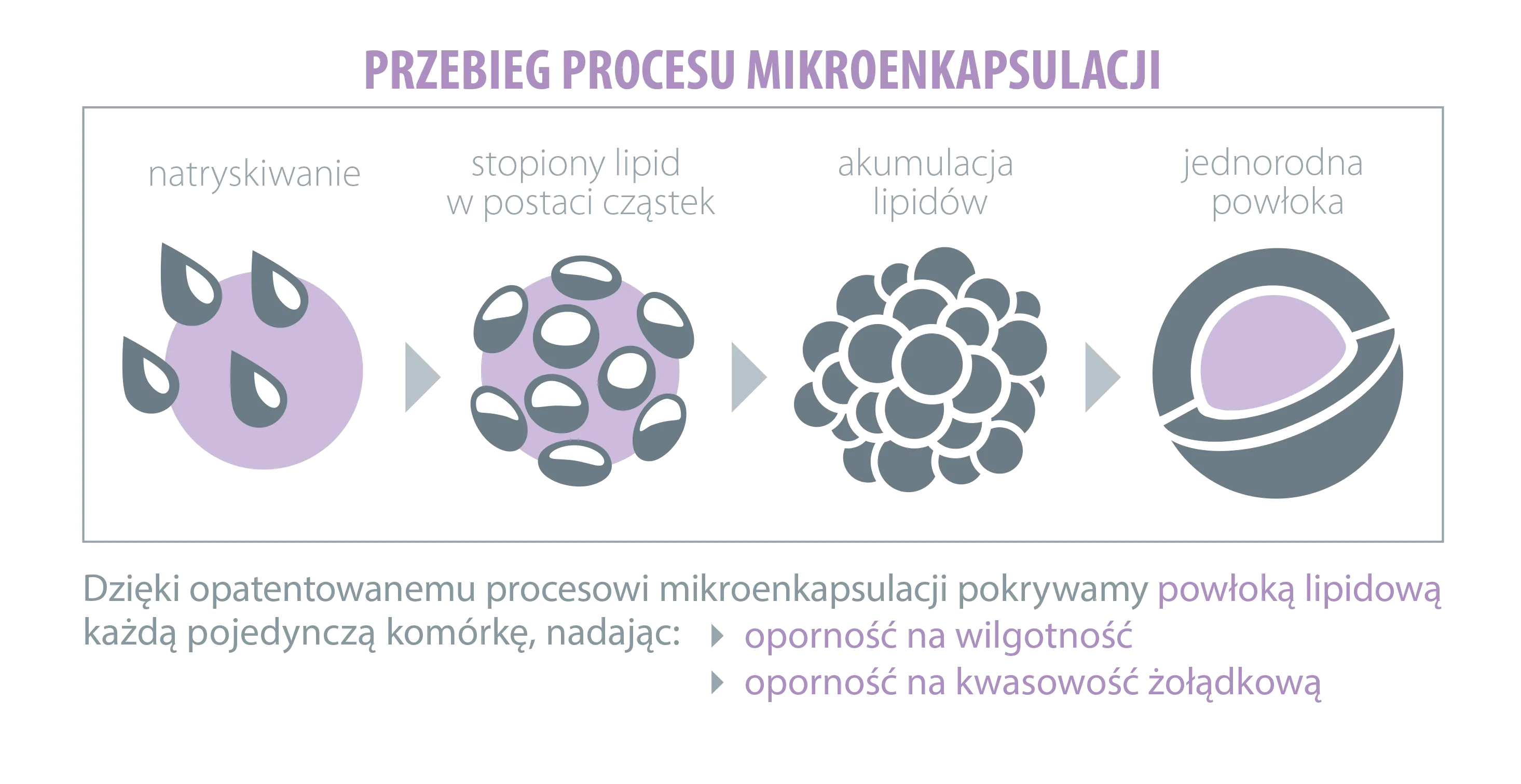 Przebieg procesu Mikronekapsulacji